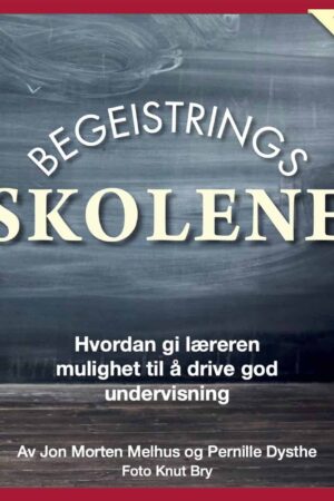 Begeistringsskolene gode skoler