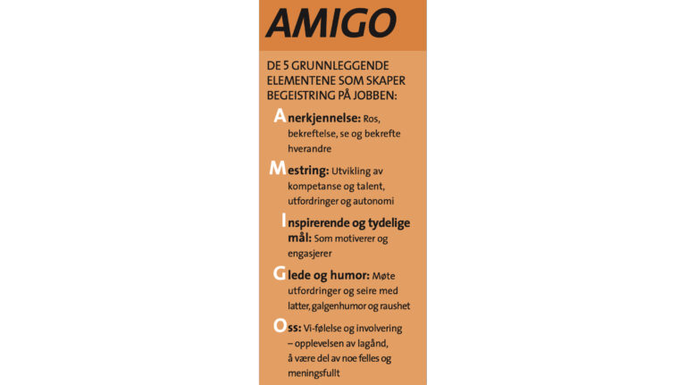 AMIGO – skaper begeistring på jobben