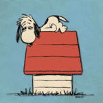 Snoopy on monday morning